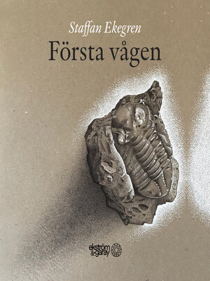 cover image of Första vågen